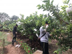 Volunteers in Fisher Village