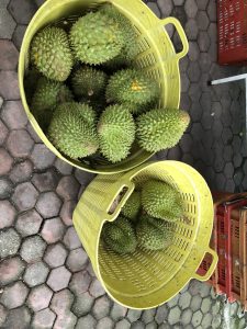 Durian fruit, Vietnam